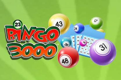 23 Bingo 3000