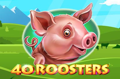 40 Roosters